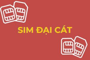 Đại cát là gì? Giải mã ý nghĩa “đại cát đại lợi” và cách tính sim đại cát chuẩn phong thủy
