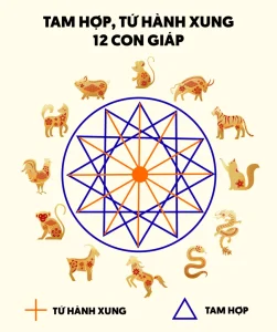 Tam hợp là gì? Giải mã ý nghĩa và cách ứng dụng nhóm tam hợp trong phong thủy 12 con giáp