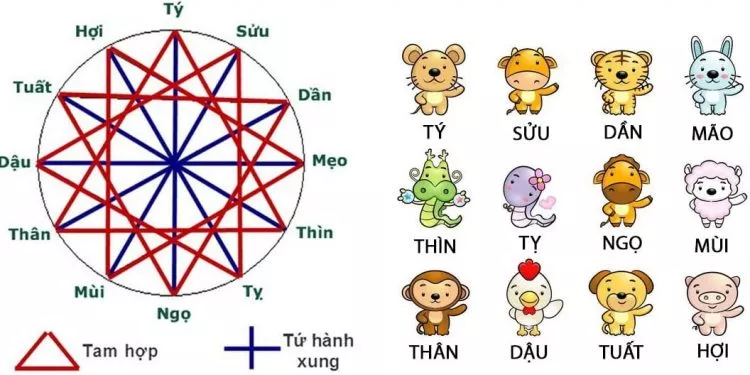 Tứ hành xung là gì? Giải mã ý nghĩa, cách hóa giải xung khắc theo 12 con giáp